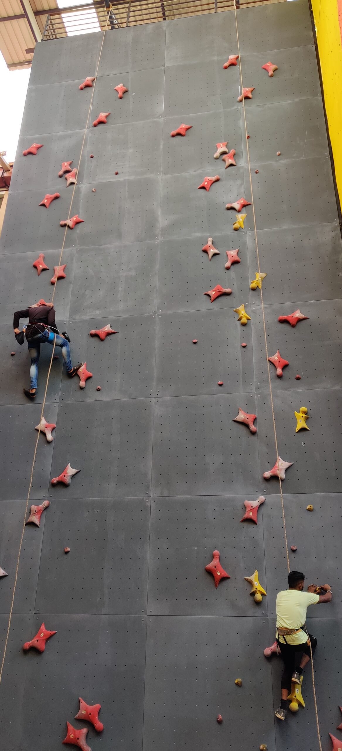 Speed Climbing Wall