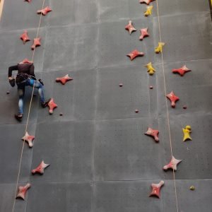 Speed Climbing Wall